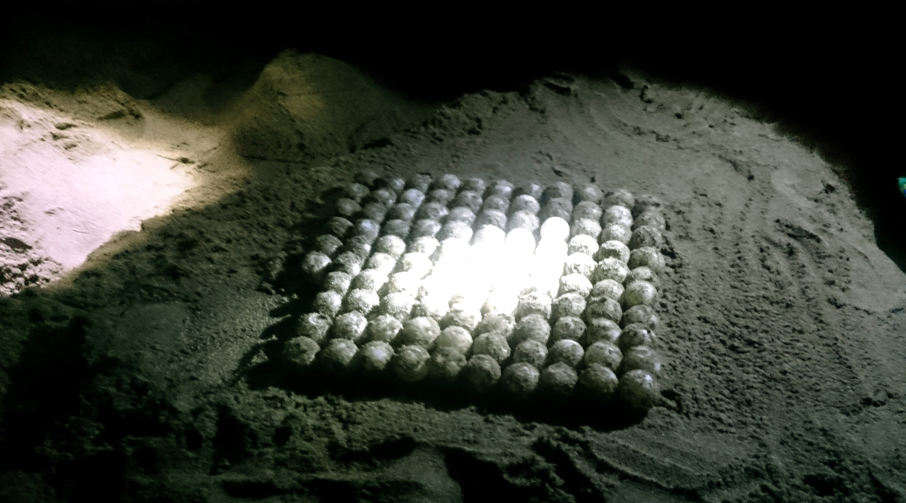 meru_betiri_1 meru_betiri_1