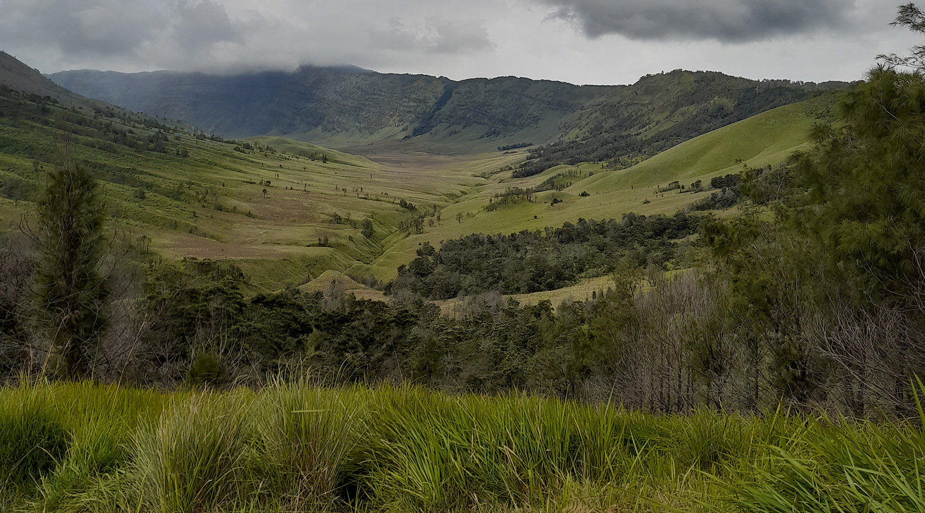 Bromo Ancestor Trail